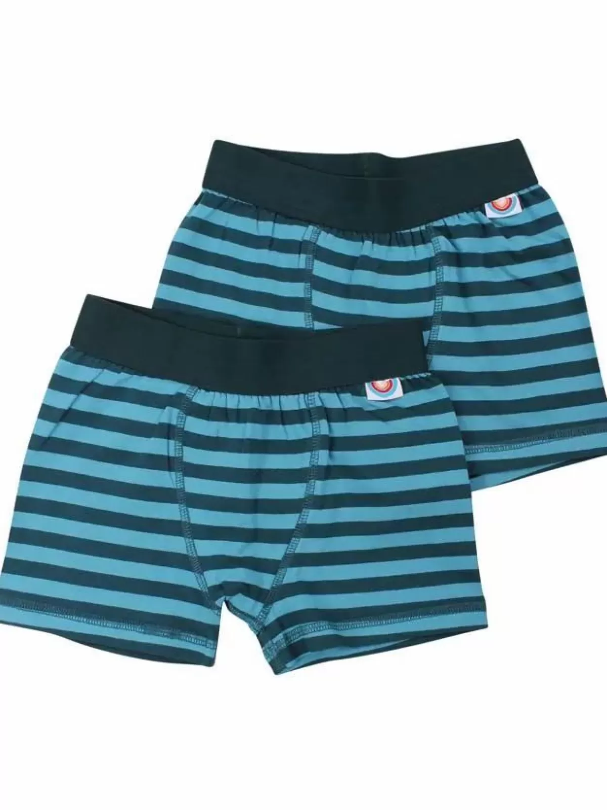 Børn Danefæ Bifrost - 2Pak Underwear Boys Dark Duck/Aqua Ice