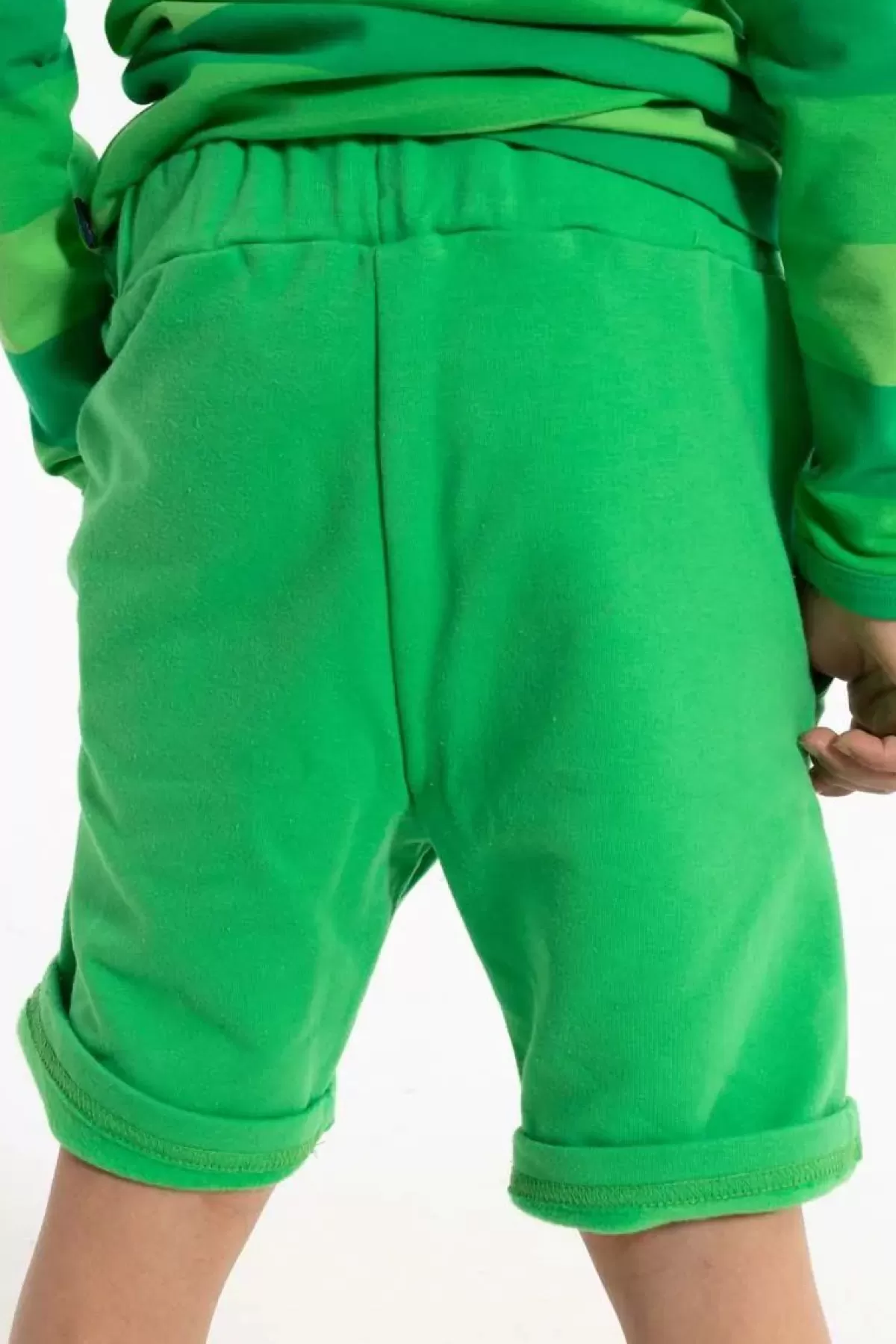 Børn Danefæ Danotter Shorts Spring Green