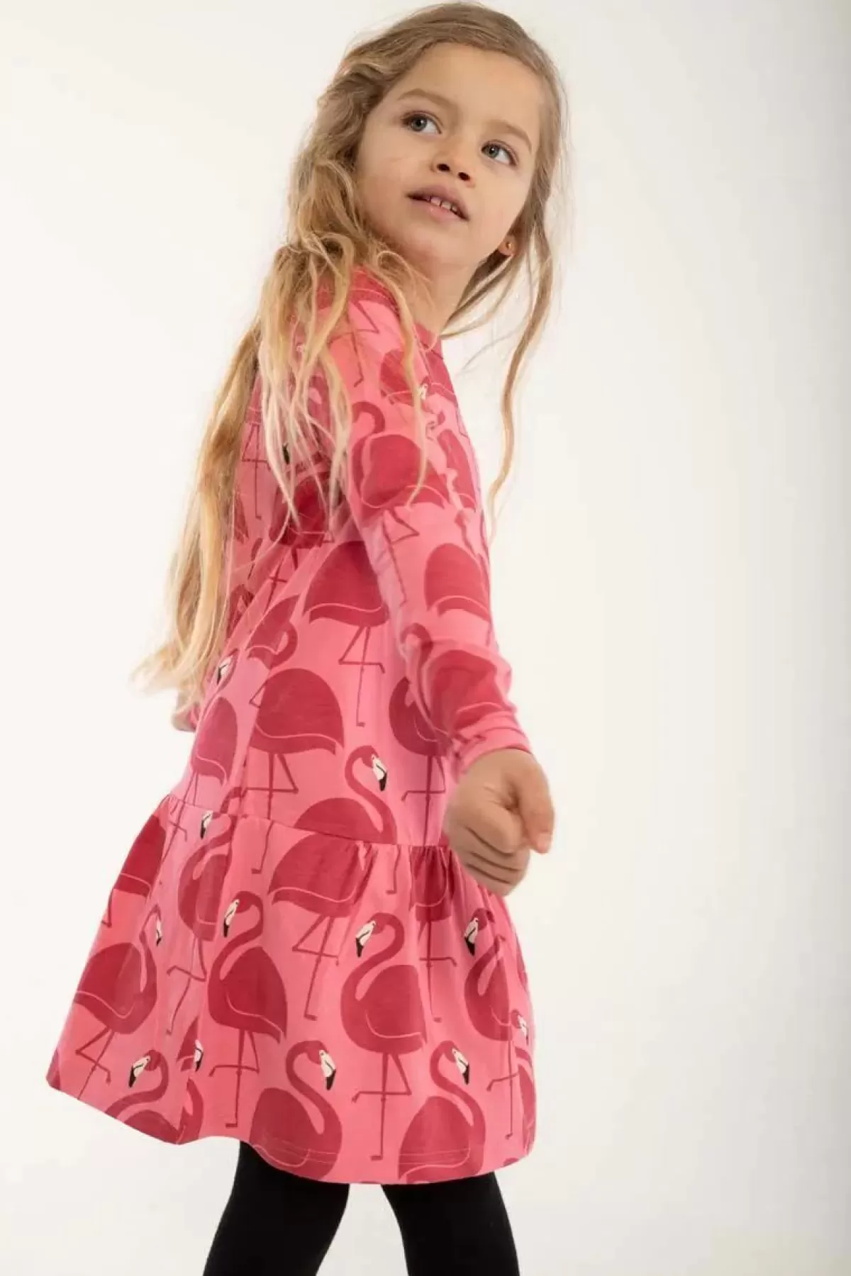 Børn Danefæ Dyrzanzi Dress Ls Pink Flamingo Aop