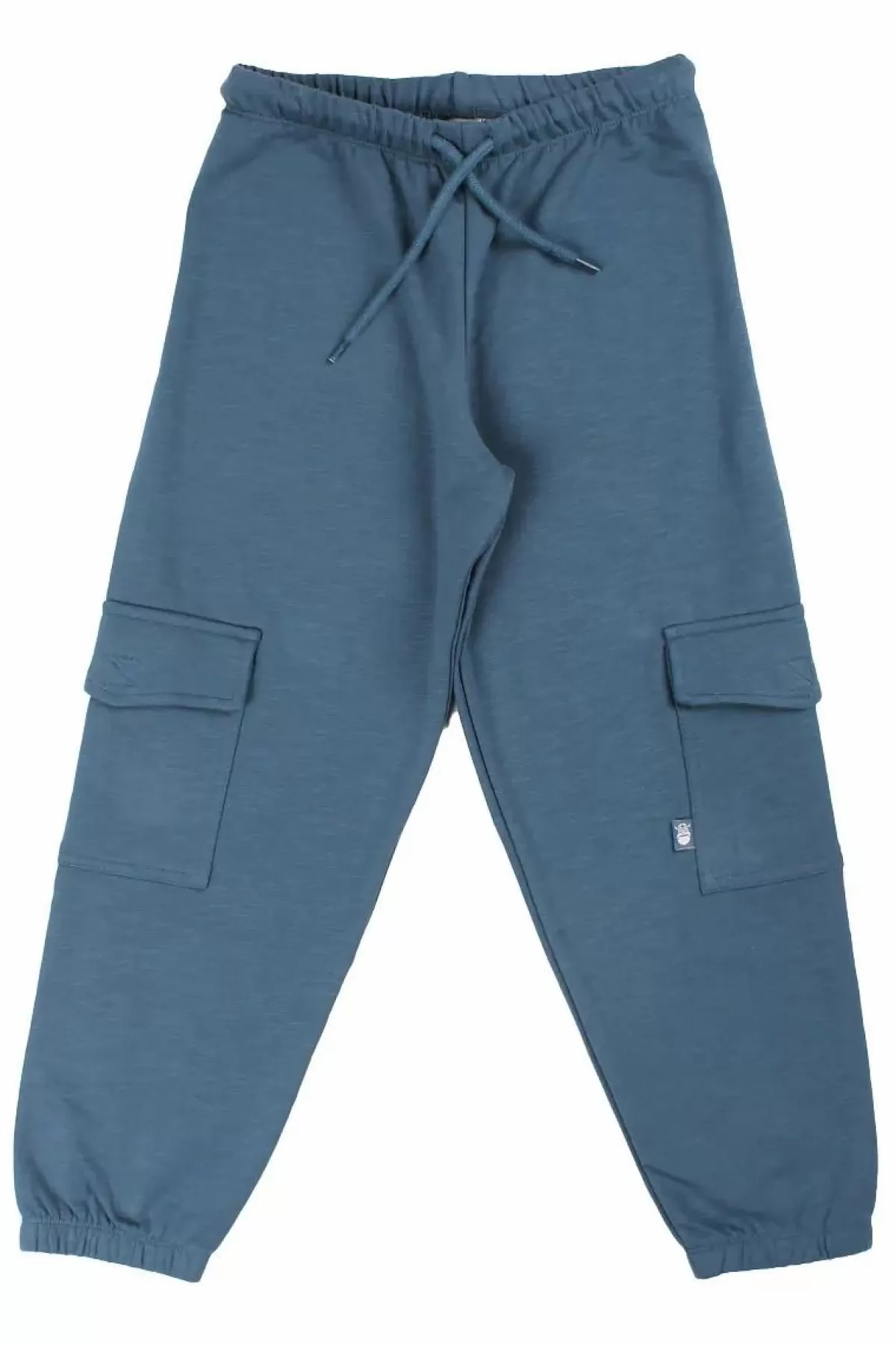 Børn Danefæ Organic - Danescout Pants Blue Steel